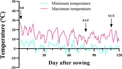 Prolonged exposure to freezing stress reduces the ability of chickpea seedlings to effectively tolerate extremely low temperatures